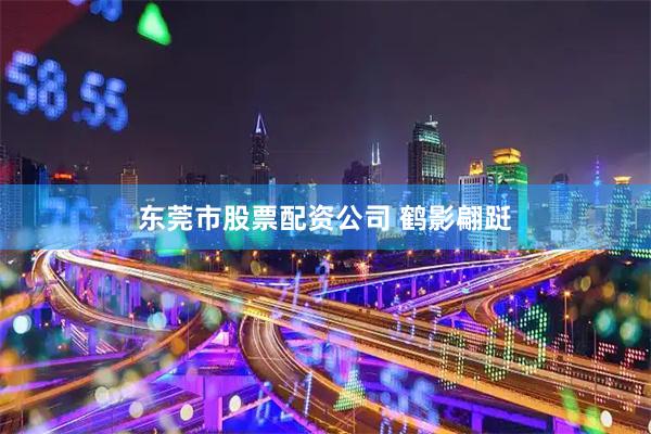 东莞市股票配资公司 鹤影翩跹