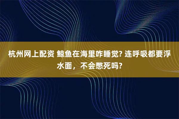 杭州网上配资 鲸鱼在海里咋睡觉? 连呼吸都要浮水面，不会憋死吗?